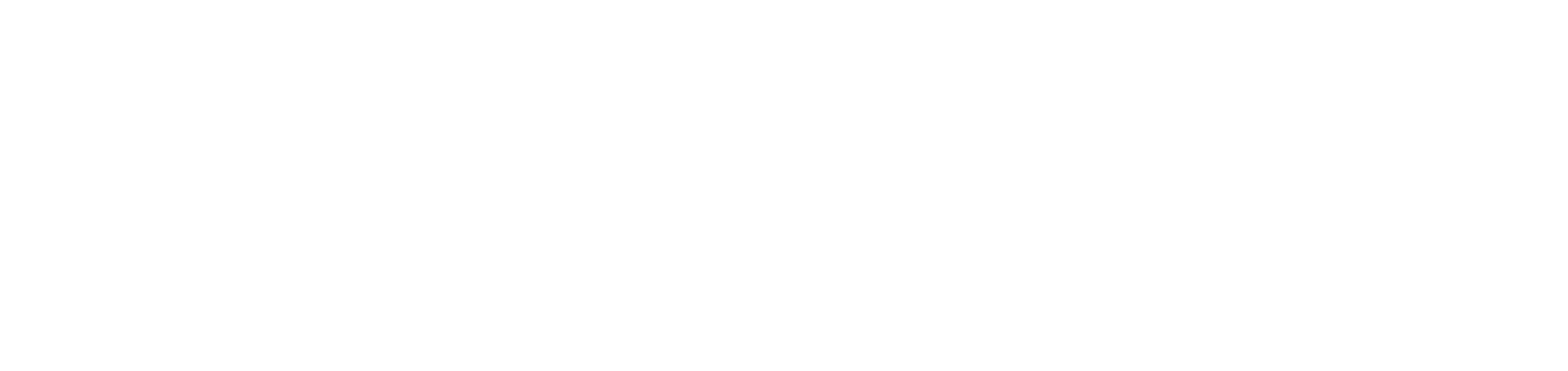 Tanzsalon Zippel